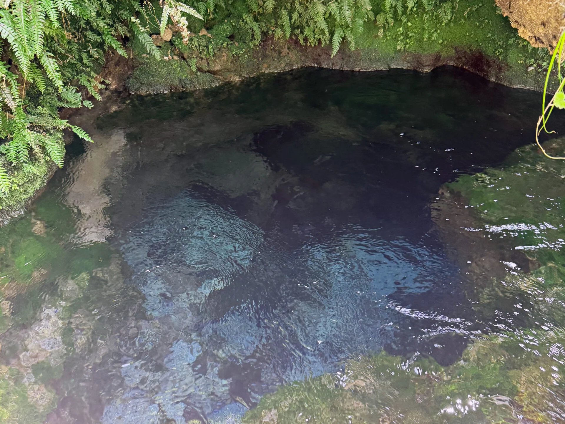 💧 오데미즈 용천수(오데미즈노유스이)